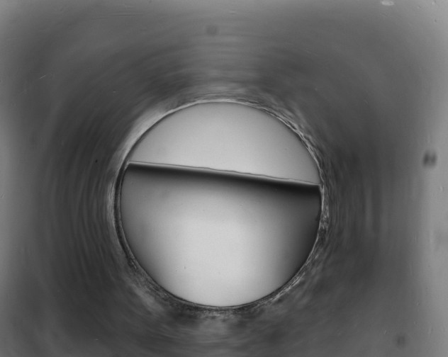 X0000102230099200807250819