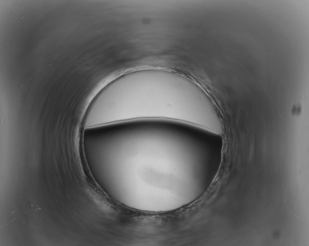 X0000102230100200807250819