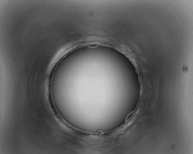 X0000102230101200807250819