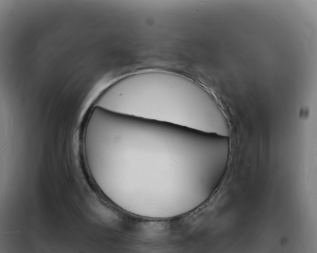 X0000102230102200807250819