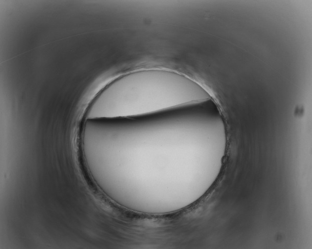 X0000102230103200807250819