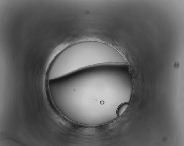 X0000102230104200807250819