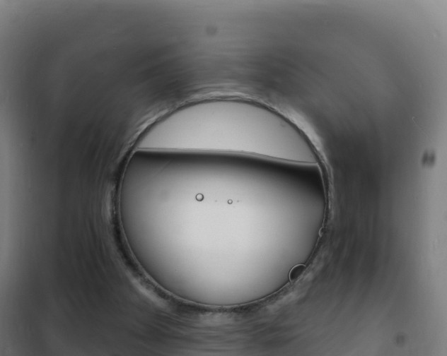 X0000102230105200807250819