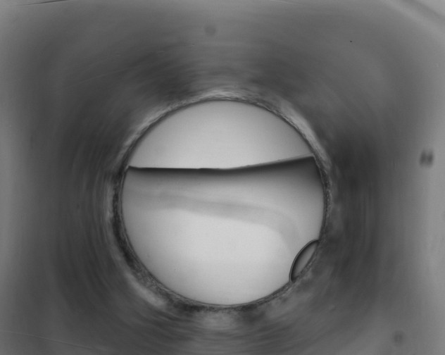X0000102230106200807250819