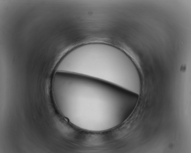 X0000102230107200807250819