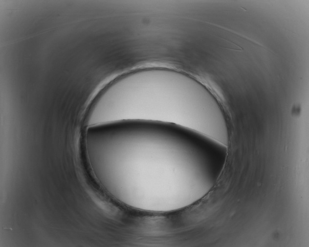 X0000102230108200807250819