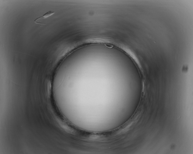 X0000102230109200807250819
