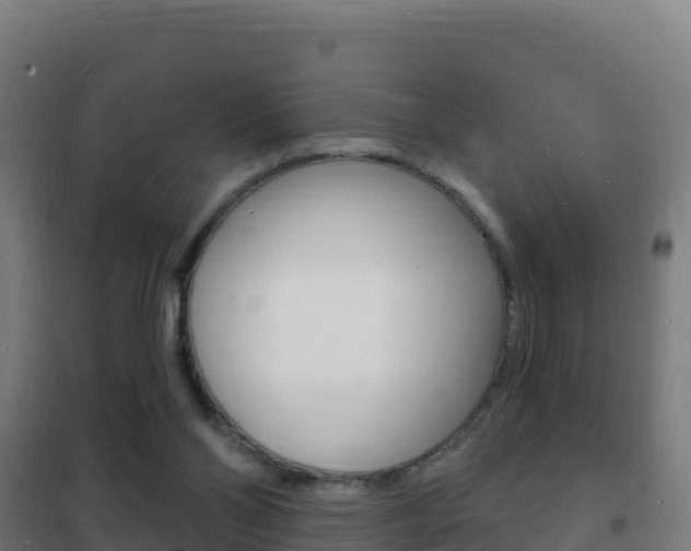 X0000102230110200807250819