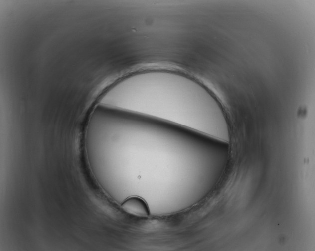 X0000102230111200807250819