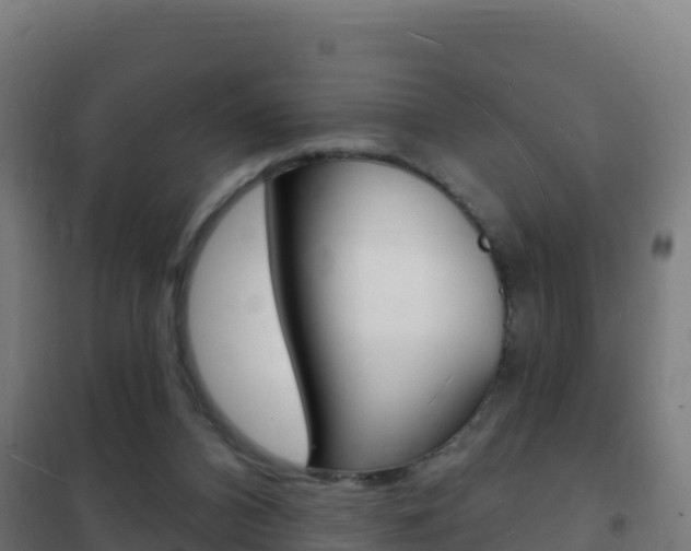 X0000102230112200807250819