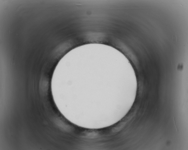 X0000102230113200807250819