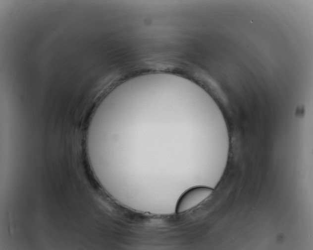 X0000102230114200807250819