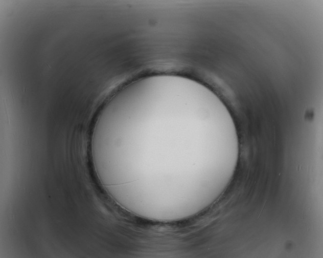 X0000102230115200807250819