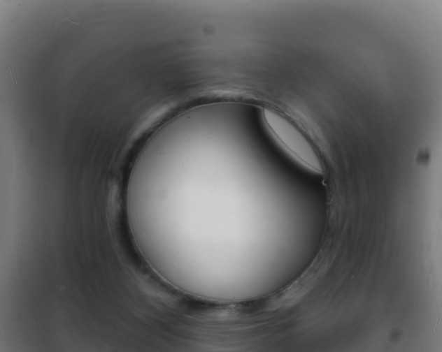 X0000102230116200807250819