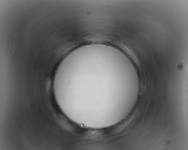 X0000102230117200807250819