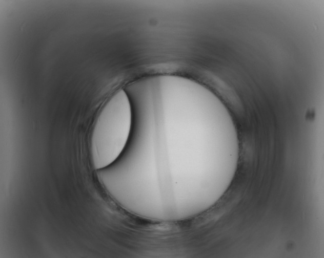 X0000102230118200807250819