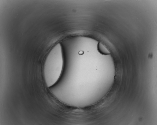 X0000102230119200807250819