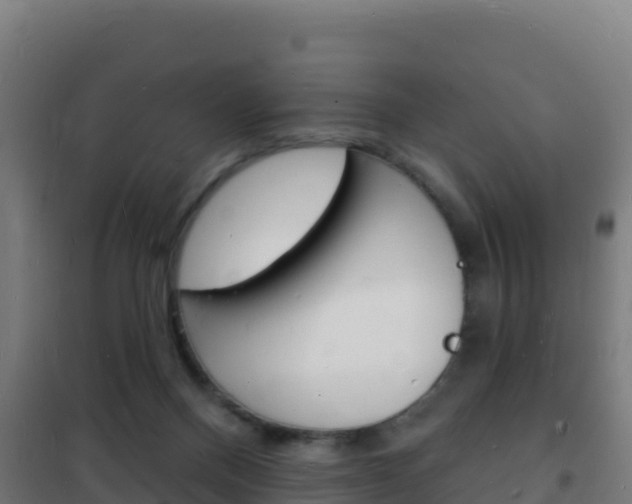X0000102230120200807250819