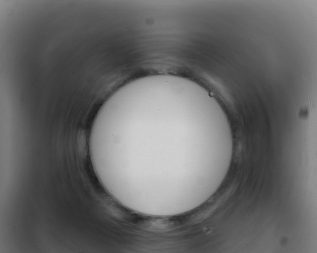 X0000102230121200807250819