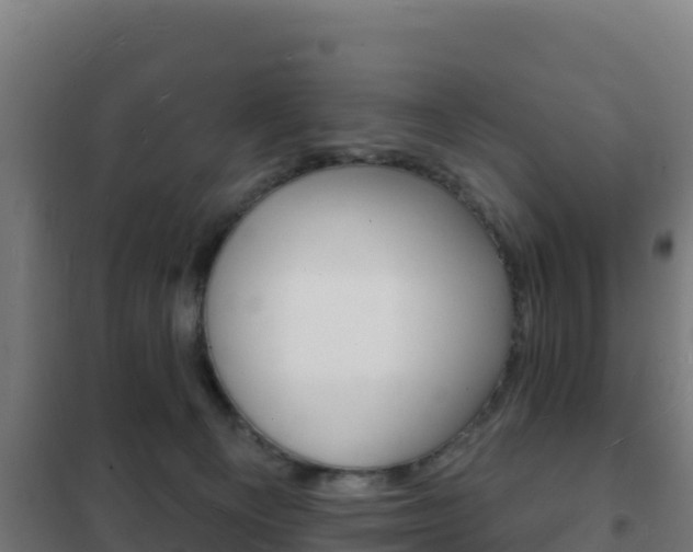 X0000102230129200807250818