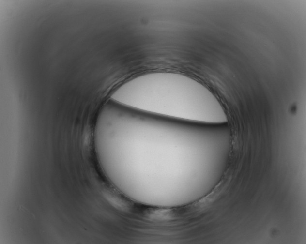 X0000102230132200807250818