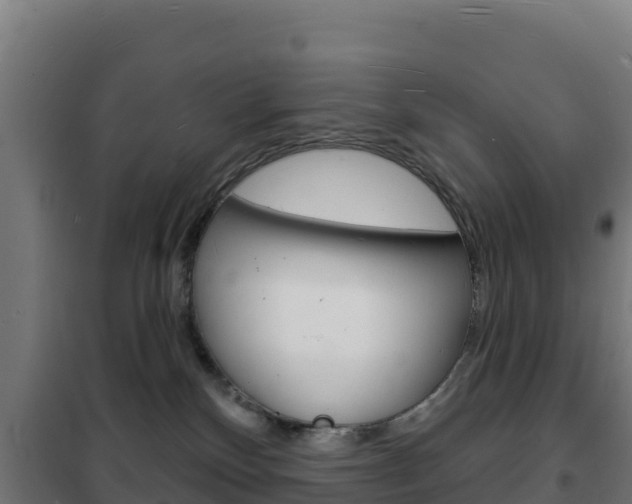 X0000102230136200807250818