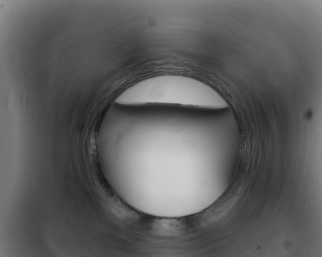 X0000102230137200807250818