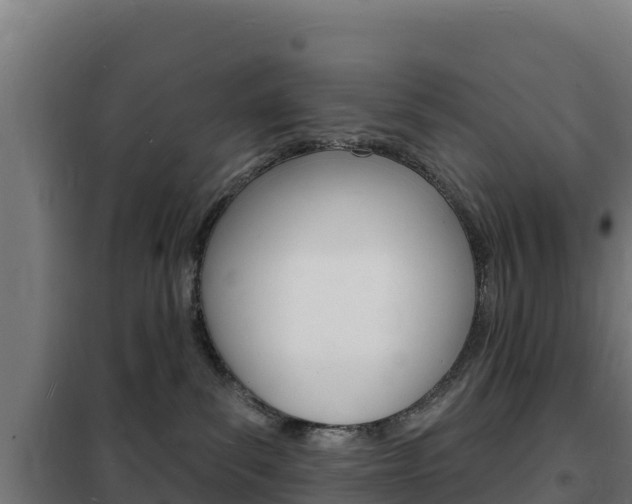 X0000102230139200807250818