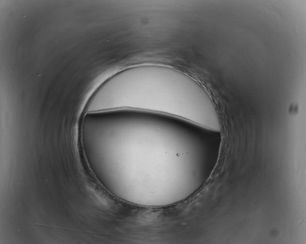 X0000102230148200807250818