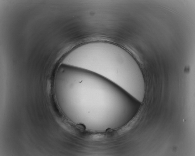 X0000102230158200807250818