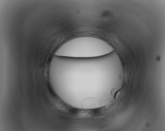 X0000102230175200807250818
