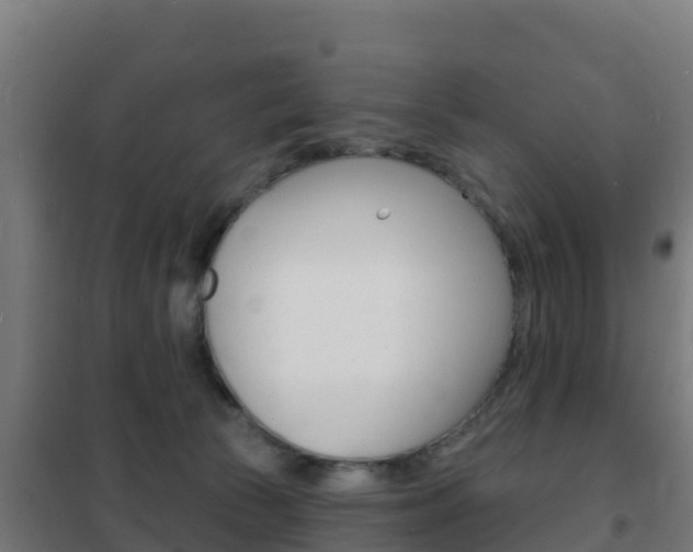 X0000102230177200807250818