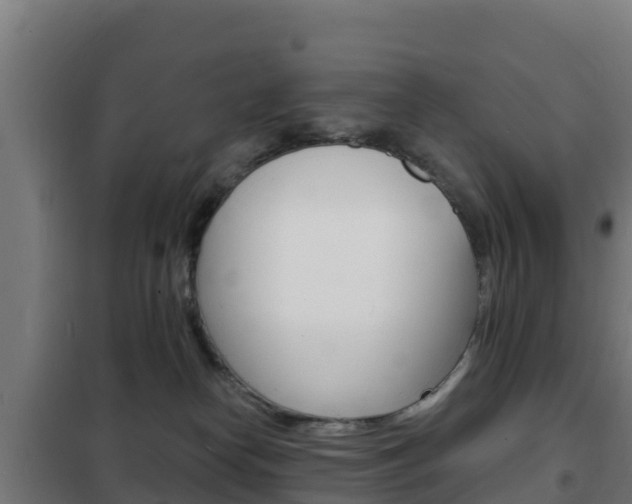 X0000102230182200807250818
