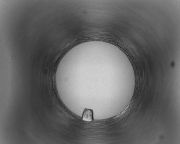 X0000102230184200807250818