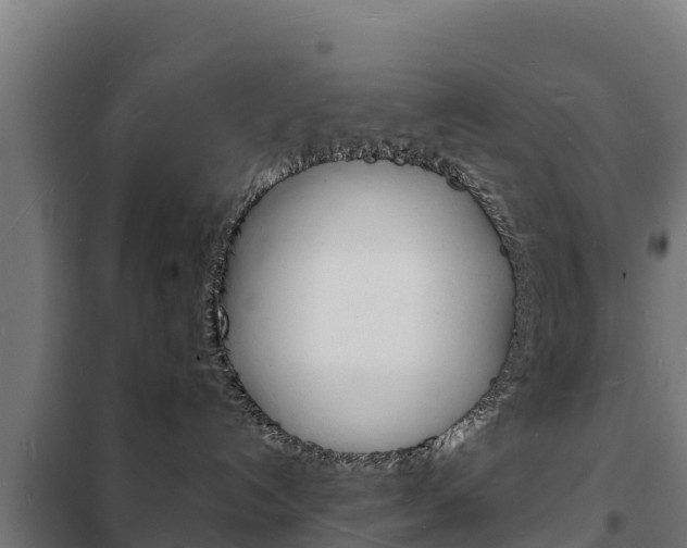 X0000102230192200807250818