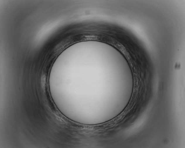 X0000102230194200807250818