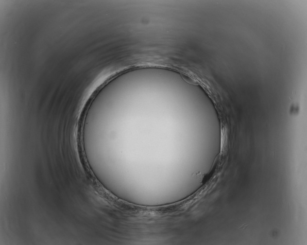 X0000102230195200807250817