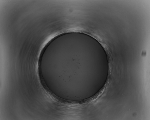 X0000102230196200807250817