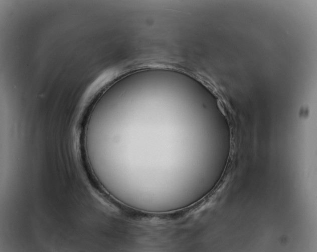 X0000102230197200807250817