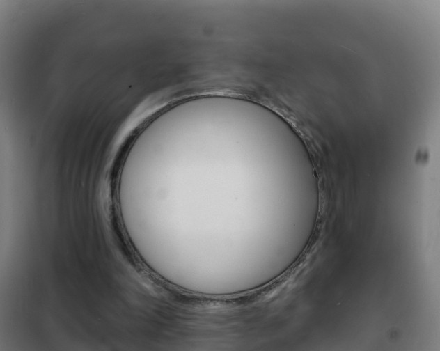 X0000102230198200807250817