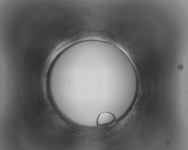 X0000102230199200807250817