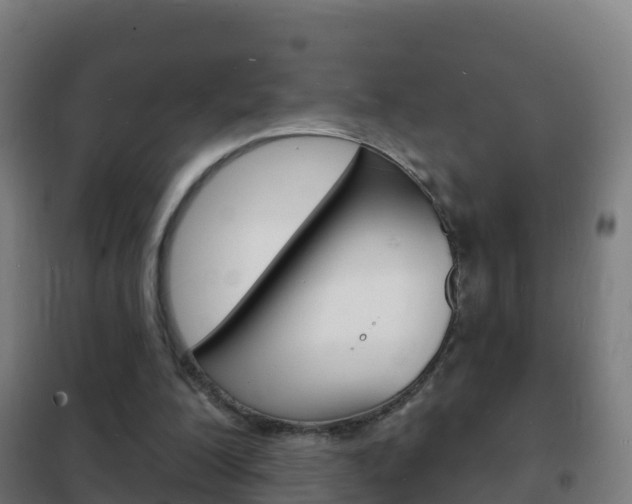 X0000102230200200807250817