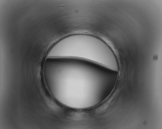 X0000102230201200807250817