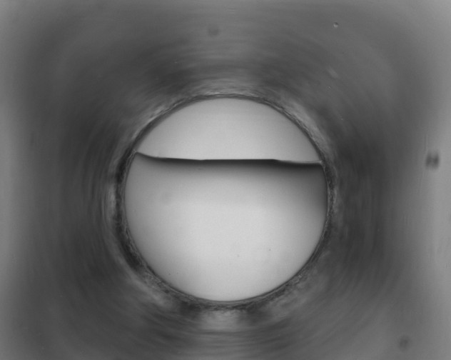 X0000102230202200807250817