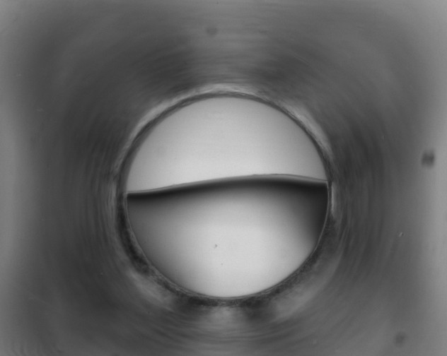 X0000102230204200807250817