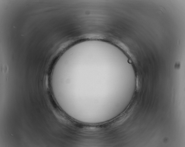 X0000102230205200807250817