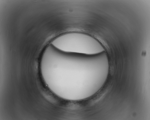 X0000102230207200807250817