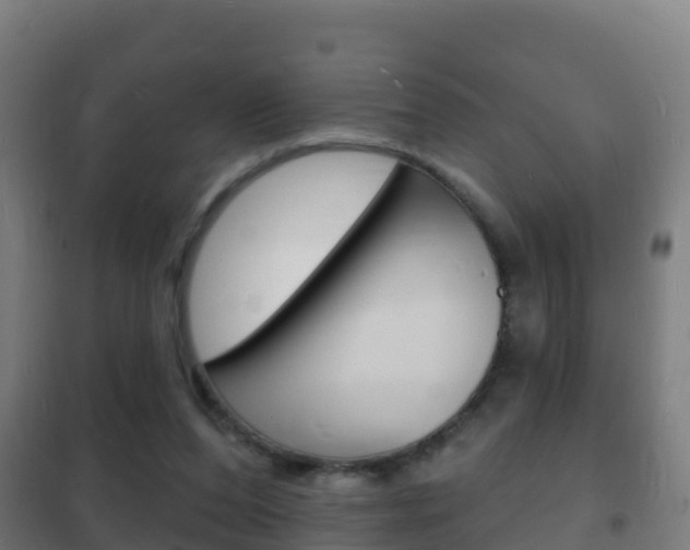 X0000102230208200807250817