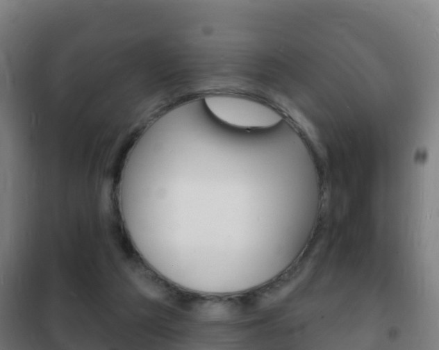 X0000102230209200807250817