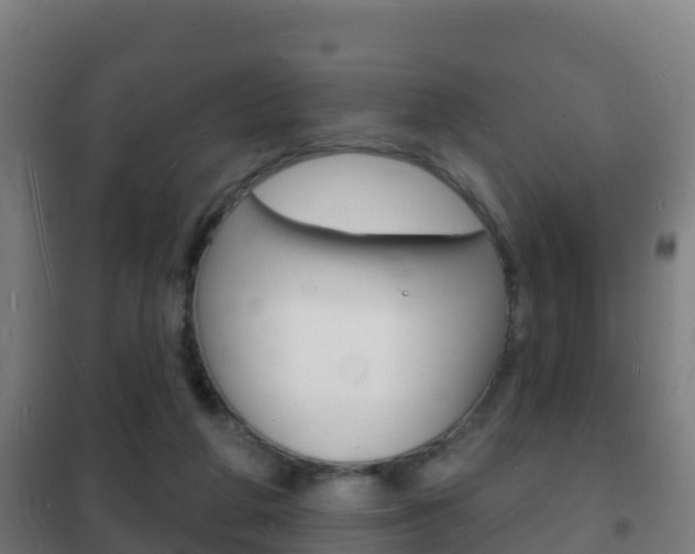 X0000102230210200807250817